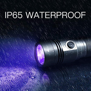 LED 395nm Ultraviolet Flashlight